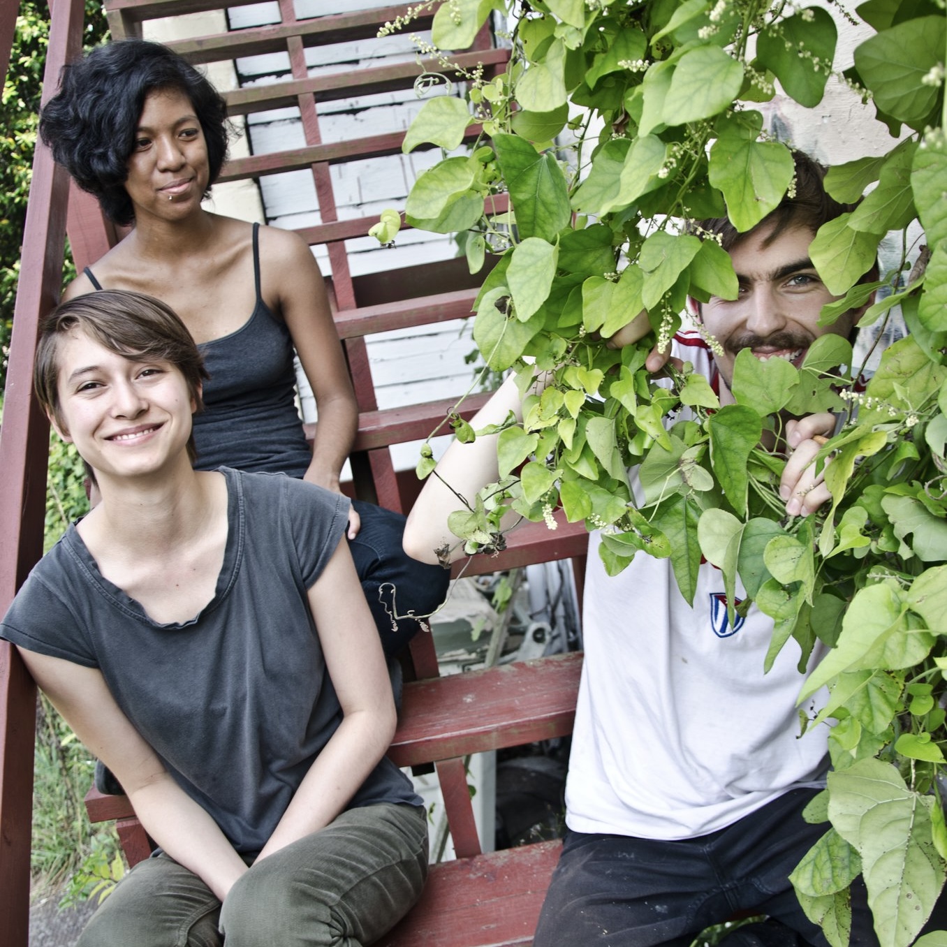 Chemical Peel Artist Photo